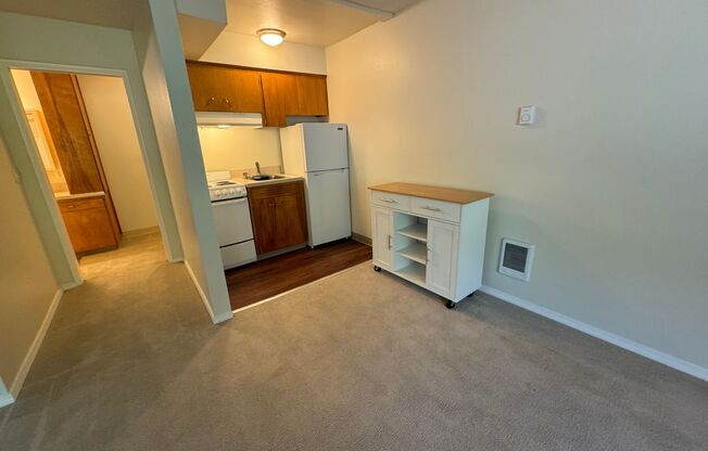 Studio, 1 bath, 375 sqft, $1,075, Unit 108
