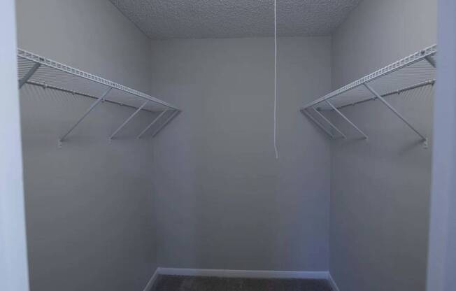 Empty walk-in closet with white shelves and a white ceiling.