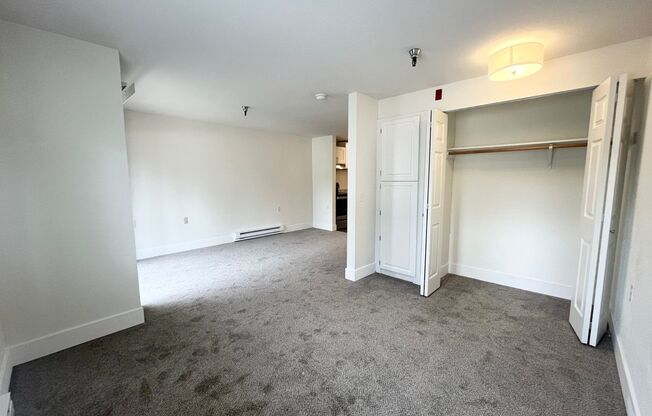 Studio, 1 bath, 480 sqft, $1,395, Unit 222