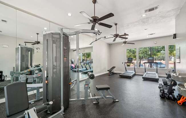 A gym with a variety of equipment including treadmills, weights, and a squat rack.