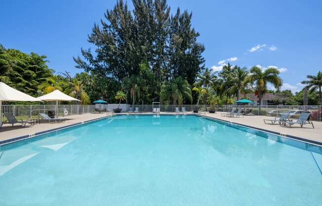 a swimming pool at a resort with palm trees