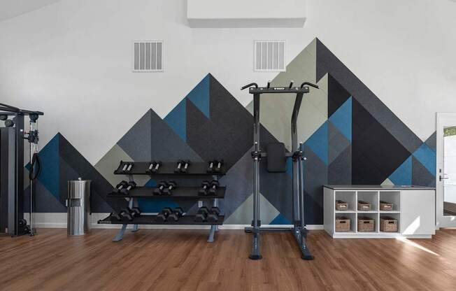 A gym with a wall mural of a mountain range and a row of dumbbells.