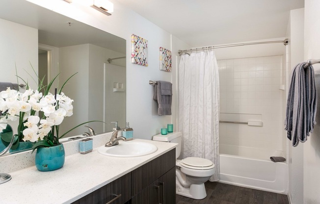 a bathroom with a sink and a toilet and a shower