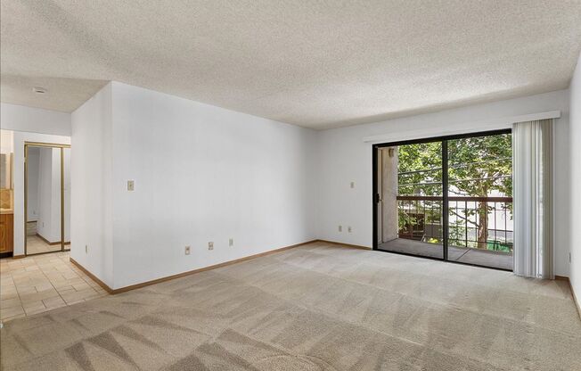 155 Pearl St. #205 - 1 bedroom | 1 bath | Condo