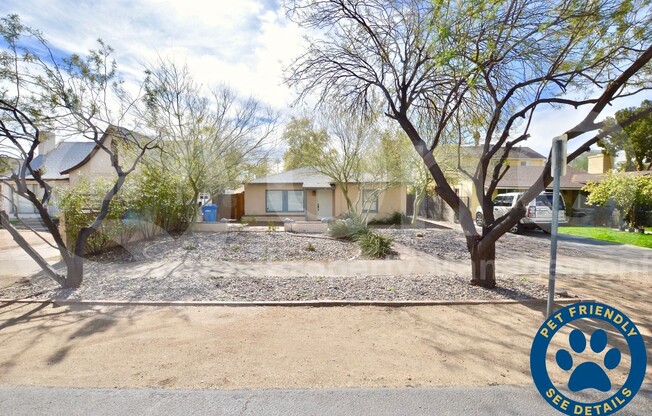 317 E CATALINA DR