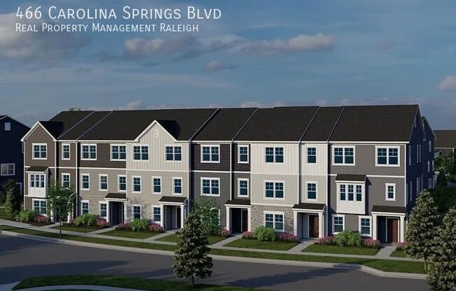 466 CAROLINA SPG BLVD