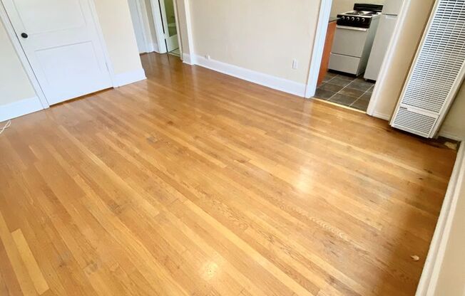 Studio, 1 bath, 325 sqft, $1,250, Unit 307