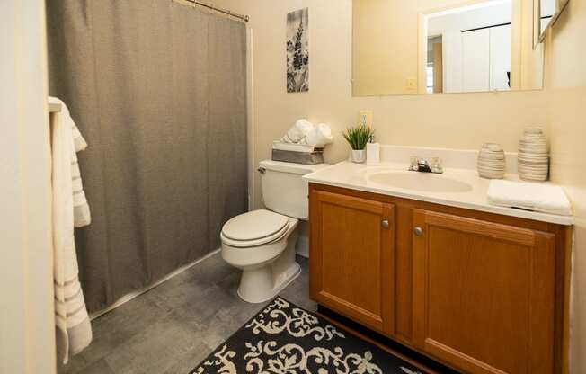 Primary bathroom with a toilet, sink with cabinet mirror, and tub shower.