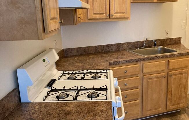 Studio, 1 bath, 450 sqft, $1,099, Unit 46-1R