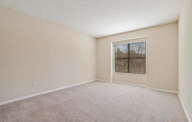 an empty living room with a window and carpet