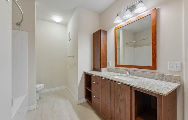A bathroom with a sink, mirror, and wooden cabinets.