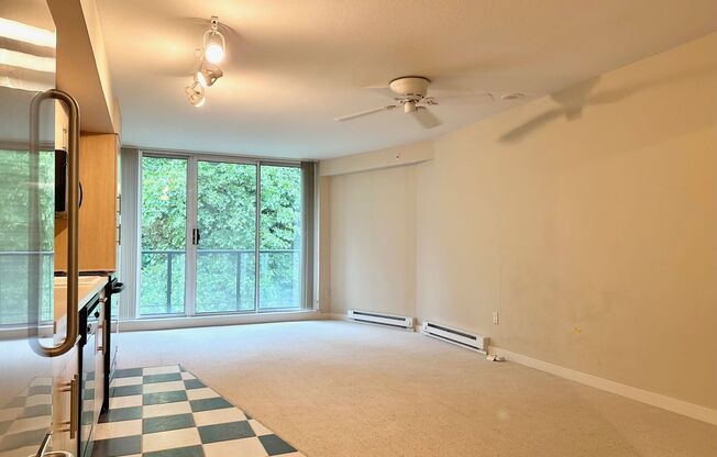 Charming Studio in Downtown Bellevue