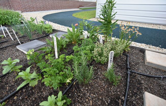 Studio, 1 bath, 470 sqft, $1,950, Unit 3833-402