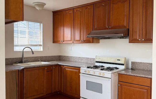 Jaguar Chan - R729-1617