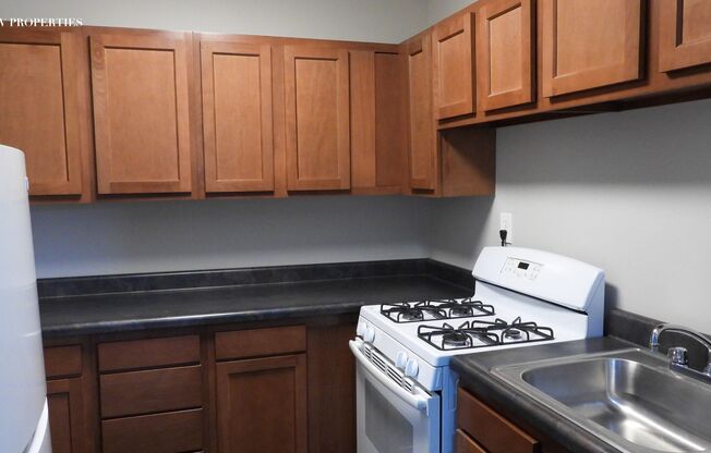 1 bed, 1 bath, 560 sqft, $920, Unit 55-17