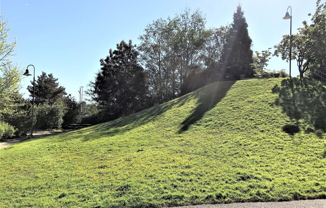 1 bed, 1 bath, 700 sqft, $1,850, Unit 10