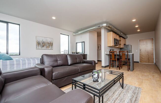 Studio, 1 bath, 573 sqft, $995, Unit Unit #501
