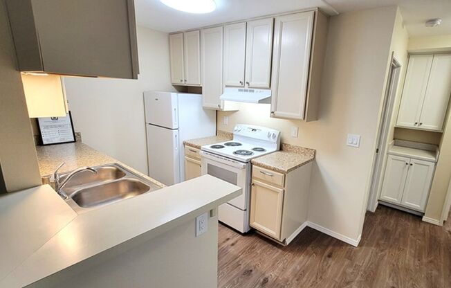 1 bed, 1 bath, $1,900, Unit 4455-1