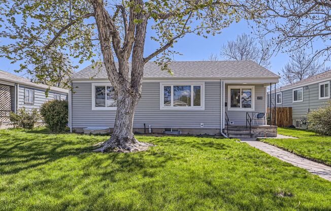 Bright, Modern Living in the Heart of Berkeley—Close to Tennyson!