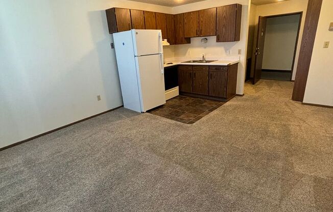 Studio, 1 bath, 360 sqft, $600, Unit 17