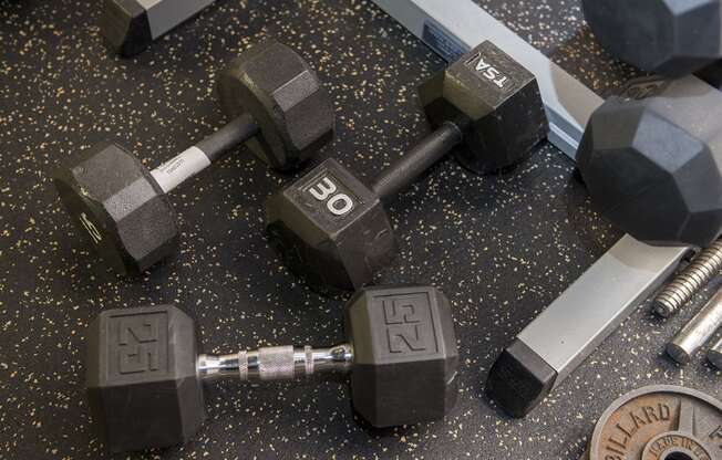 Free weights available in the fitness center at Portland Towers