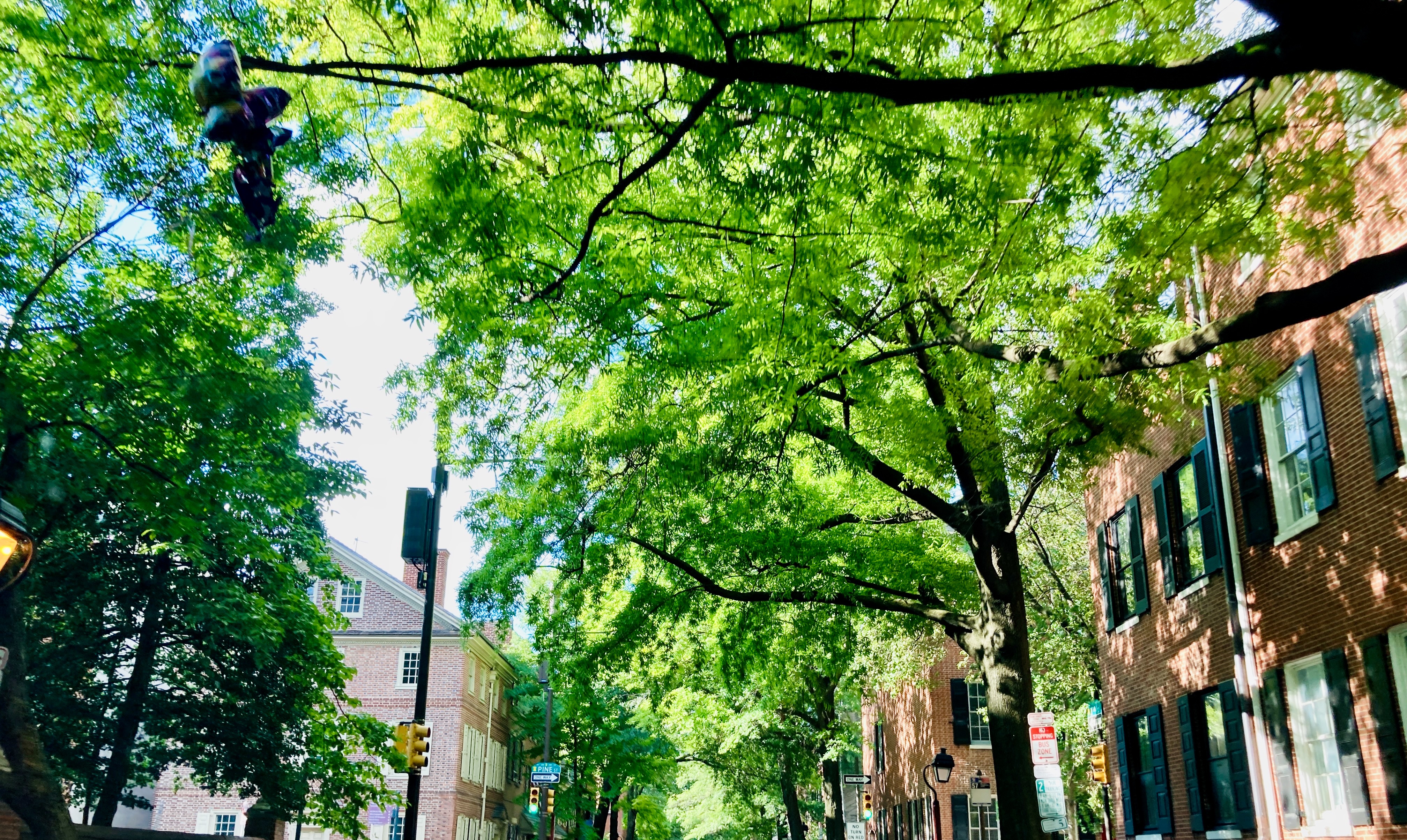 Pine St Apartments in Queen Village PA