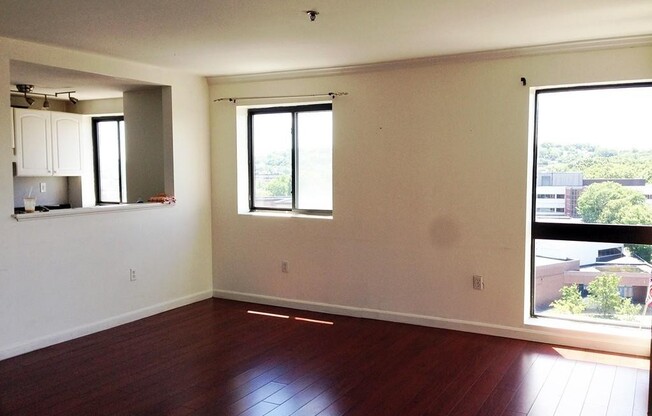 1 bed, 1 bath, 778 sqft, $2,600, Unit 1003