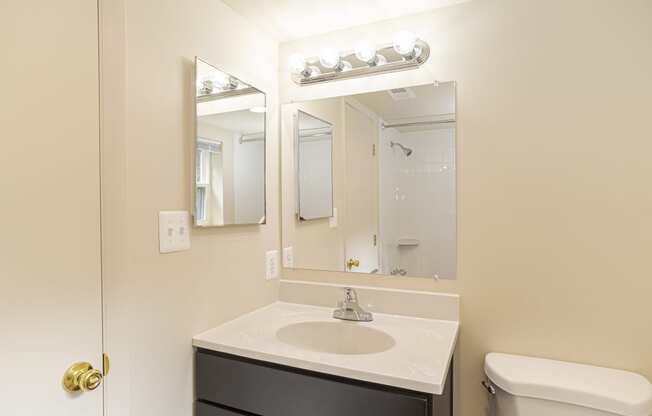 a bathroom with a sink and mirror and a toilet