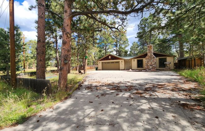 Charming 3 Bed, 2 Bath Home In Beautiful Woodland Park!!