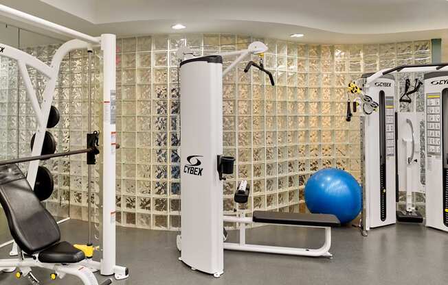 A gym with a variety of equipment including a leg press machine, a bench, and a ball.