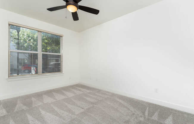 Carpeted Bedroom