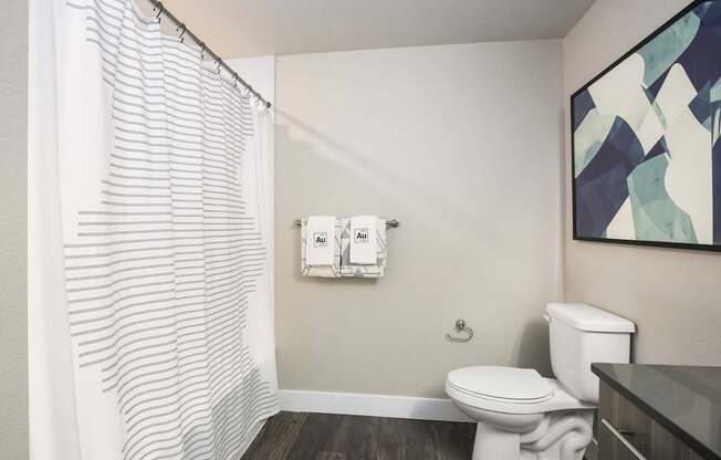 Shower curtains and toilet