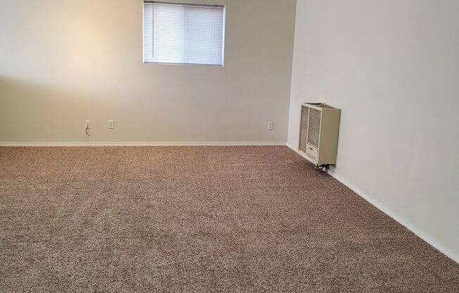 Large 1 Bedroom Home