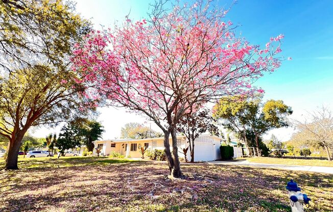 3BD/2BA Charming Blend of Modern Elegance and Florida Living at 1516 Dove Dr, Orlando! WASHER & DRYER INCLUDED!