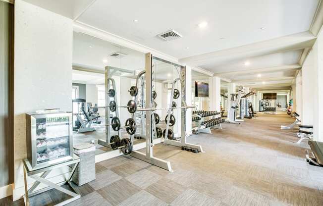 Fitness Studio with Weight Station at Windsor at Doral, Florida, 33178