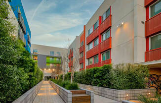 Windsor at Dogpatch