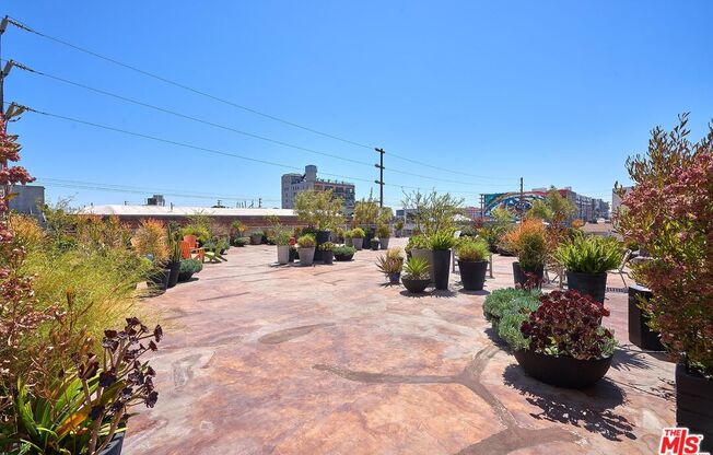 1 bed, 1 bath, 773 sqft, $3,100, Unit 302