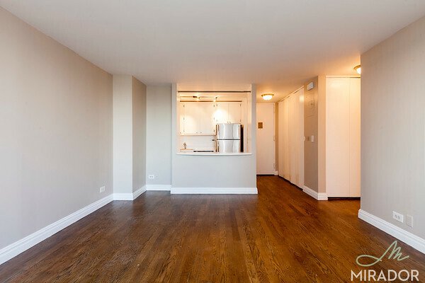 1 bed, 1 bath, $4,200, Unit 24N