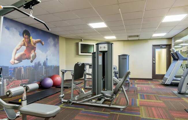 Medicine Lake Apartments in Plymouth, MN Fitness Center