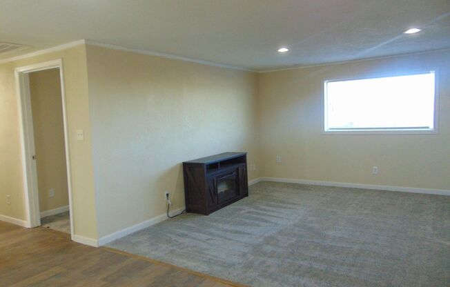 2 beds, 1 bath, $1,250