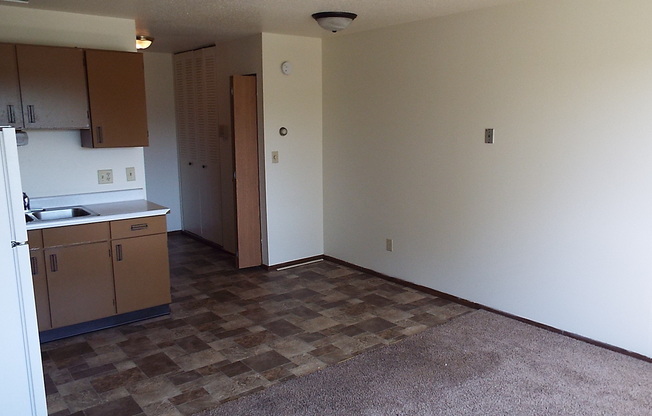 Studio, 1 bath, 300 sqft, $565, Unit 27