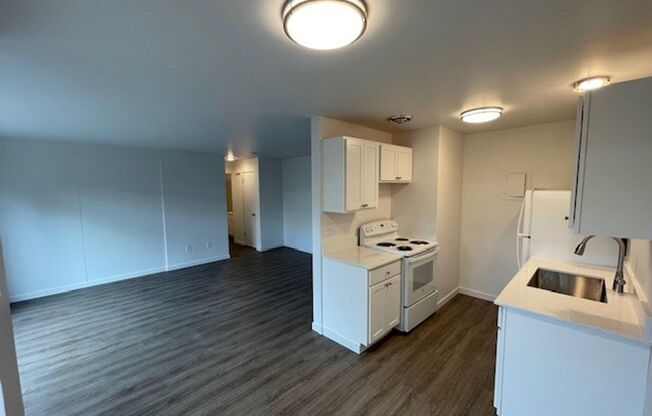 1 bed, 1 bath, 650 sqft, $1,495, Unit A-1