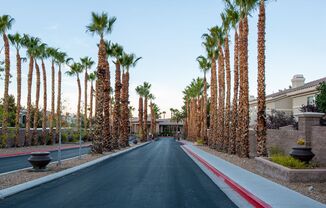 9050 Warm Springs #1132