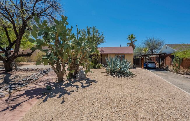 Great Central Location- Spacious & charming 3 bdrm/2 bath, minutes from UA/Downtown!