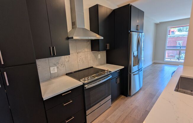 2 Bedroom 2 Bathroom Condo at the Lawrenceville Lofts