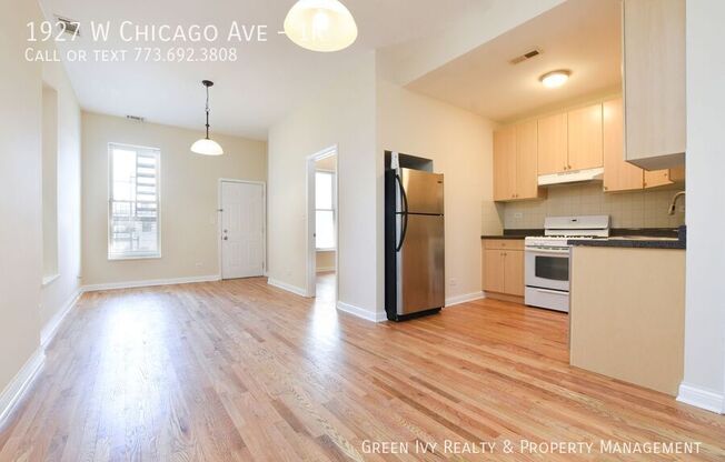1927 W CHICAGO AVE