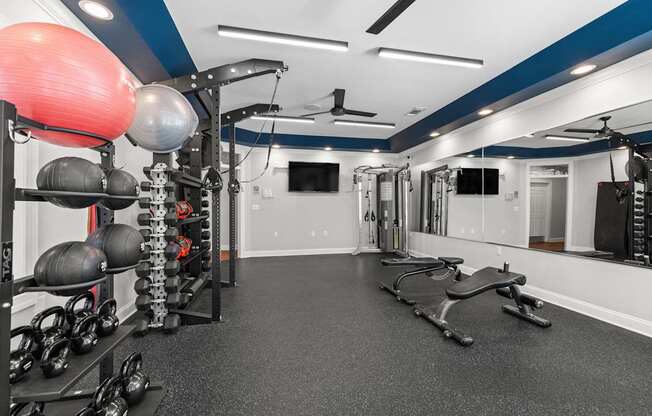A gym with a variety of equipment including weights and a bench press.