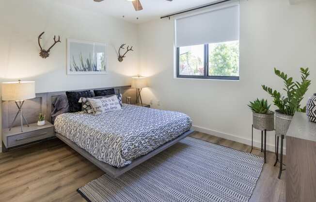 Bedroom With Expansive Windows at Bay Village1, Florida