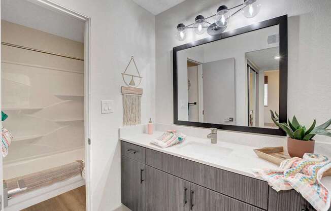 A bathroom with a white sink and a mirror above it.
