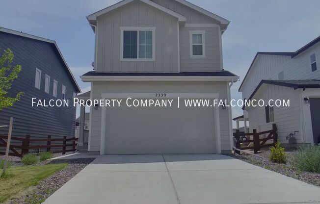 2339 INDIAN BALSAM DR